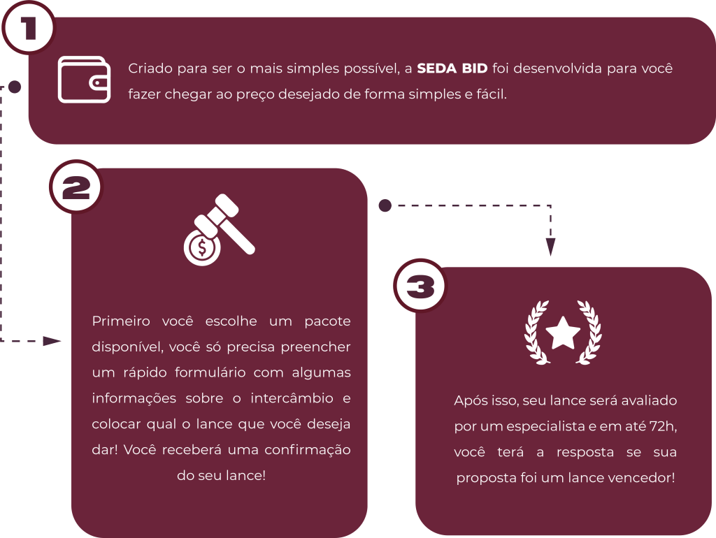 SEDA BID: como funciona